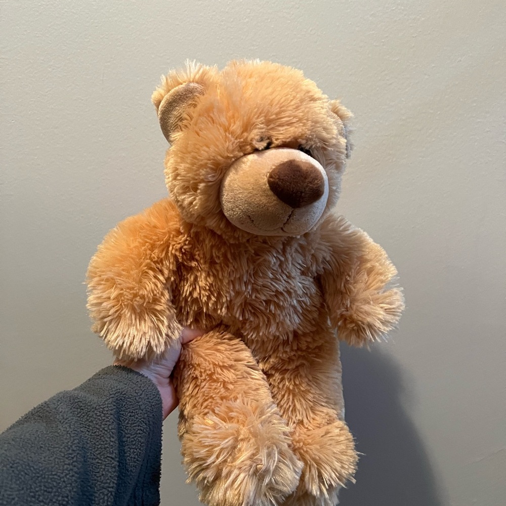 Plush Brown Teddy Bear Build-a-Bear